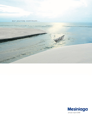 Annual Report 2008 cover